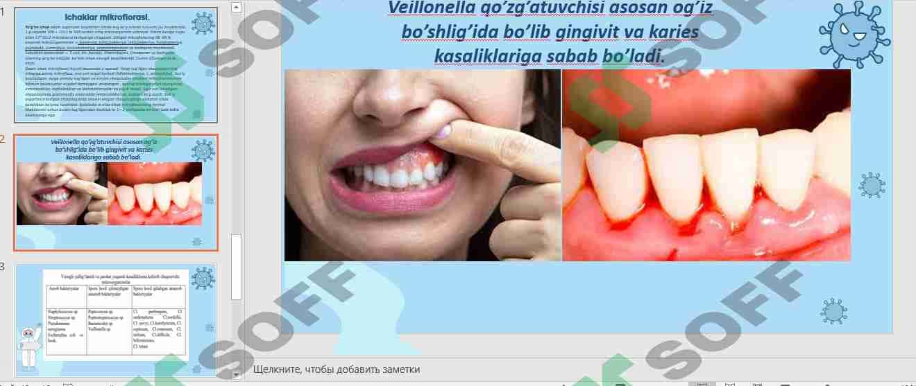 shartli patogen anaerob kokklar 2