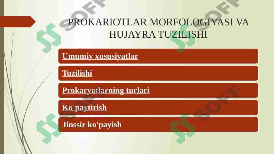 PROKARIOTLAR MORFOLOGIYASI VA HUJAYRA TUZILISHI 1