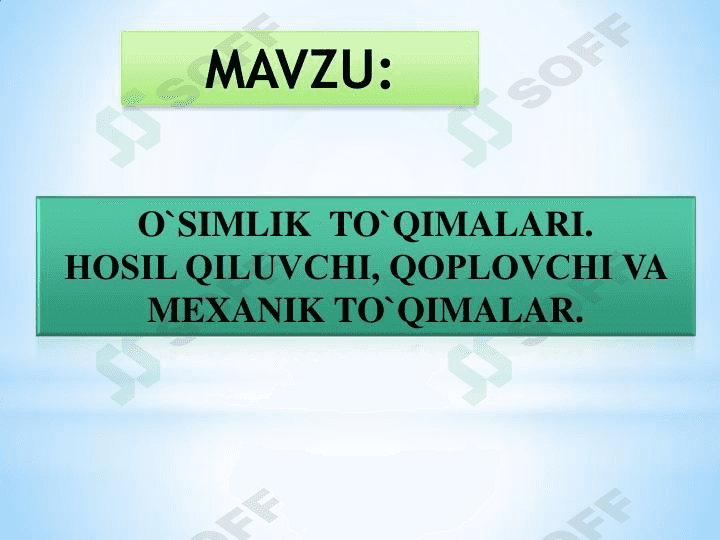 Oʻsimliklar Toʻqimalari 1