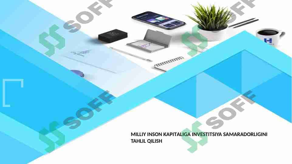 MILLIY INSON KAPITALIGA INVESTITSIYA SAMARADORLIGINI TAHLIL QILISH 1