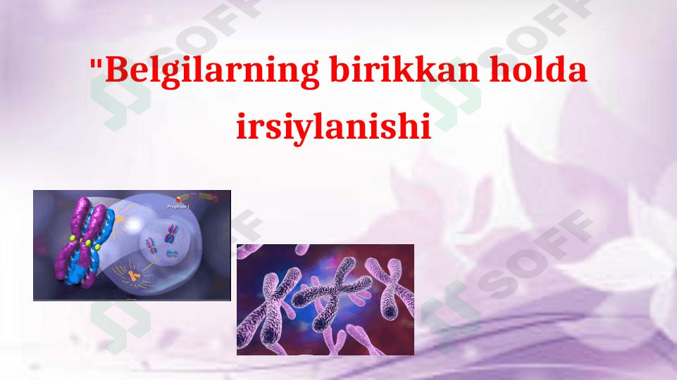 Belgilarning birikkan holda irsiylanishi 1