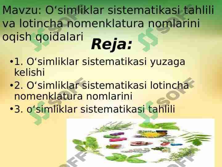 2-Oʻsimliklar sistematikasi tahlili va lotincha nomenklatura nomlarini oqish qoidalari 1