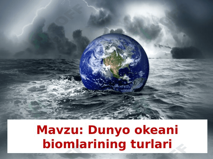 dunyo okeani biomlarining turlari 1