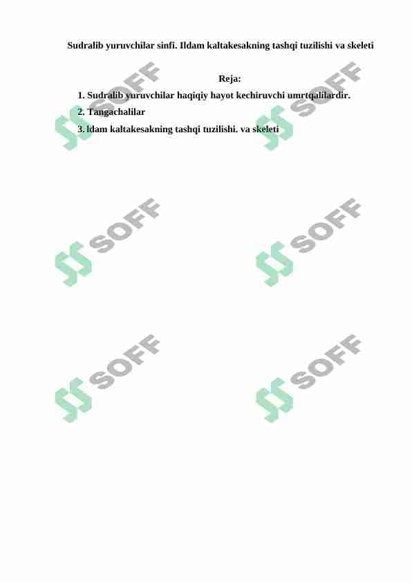 Sudralib yuruvchilar sinfi. Ildam kaltakesakning tashqi tuzilishi va skeleti 1