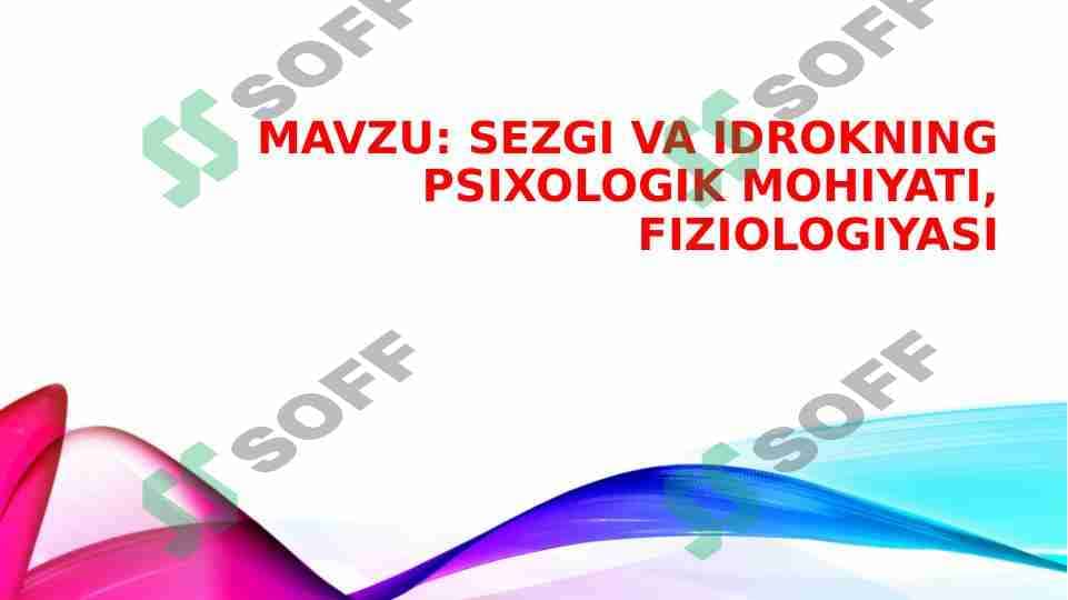 Sezgi va idrok 1