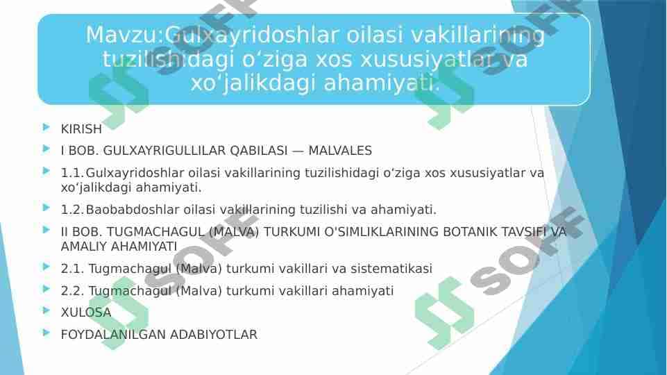 Gulxayridoshlar oilasi vakillarining tuzilishidagi o‘ziga xos xususiyatlar 1