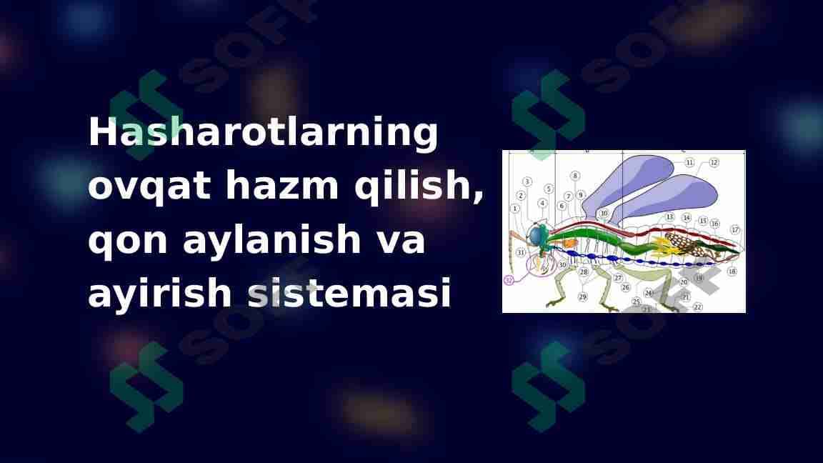 Hasharotlarning ovqat hazm qilish, qon aylanish va ayirish sistemasi 1