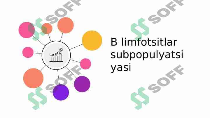 B limfotsitlar subpopulyatsiyasi 1