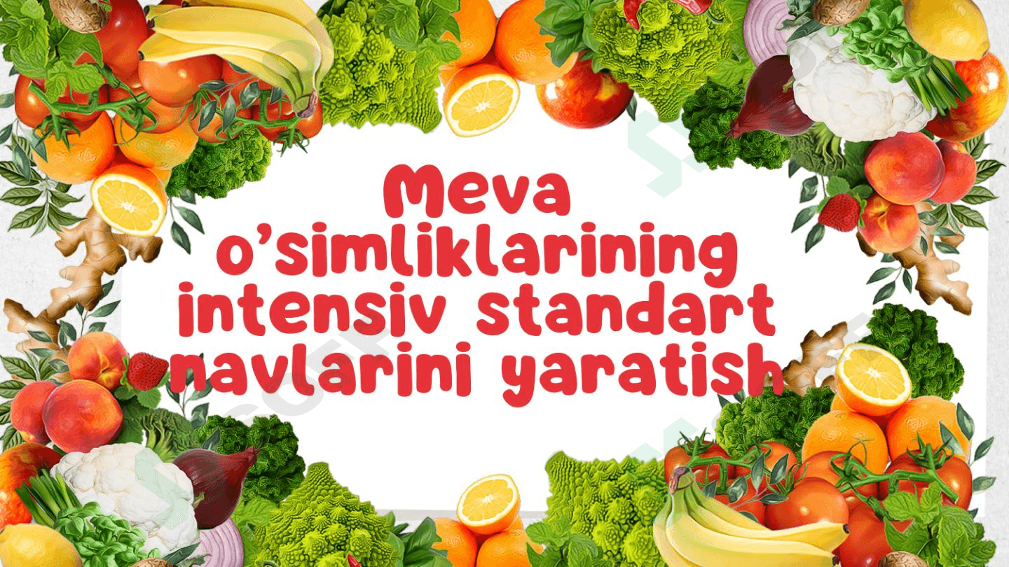 Mevalarning intensiv standard navlarini yaratish 1
