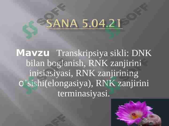 Transkripsiya sikli.DNK RNK BILAN BOGʻLANISHI 1