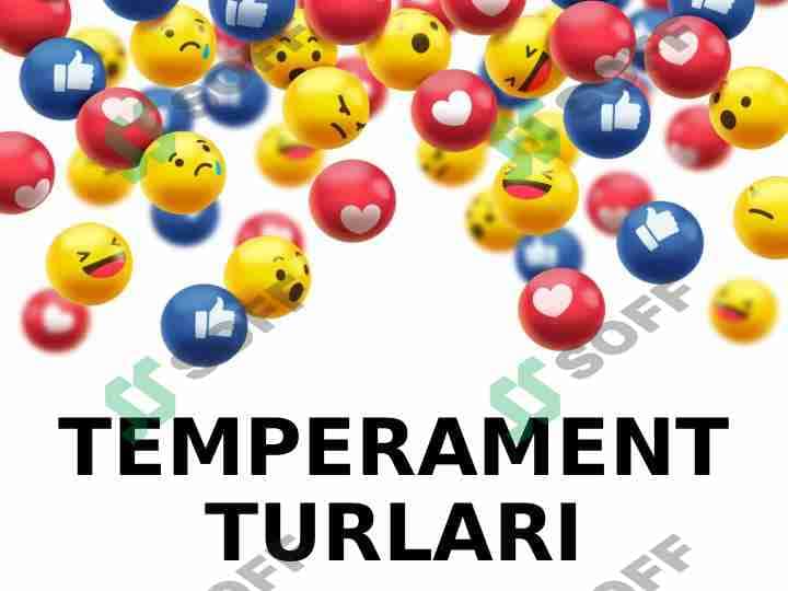 Temperamentlar 1