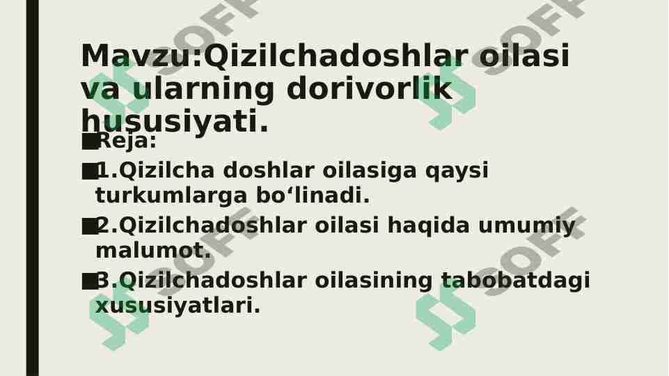 Qizilchadoshlar oilasi va ularning dorivorlik hususiyati 1