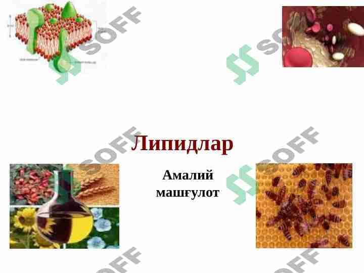 Sovunlanadigan lipidlar 1