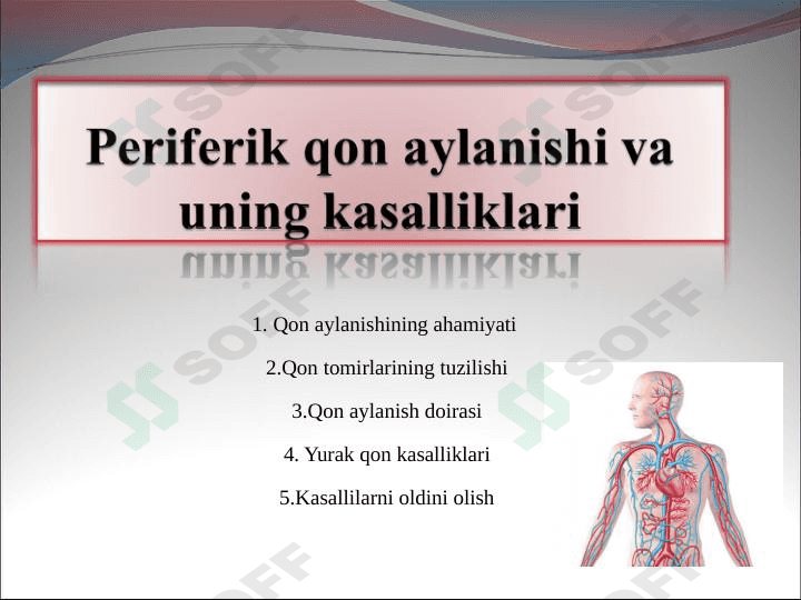 Yurak,Periferik qon aylanishi va uning kasalliklari 1