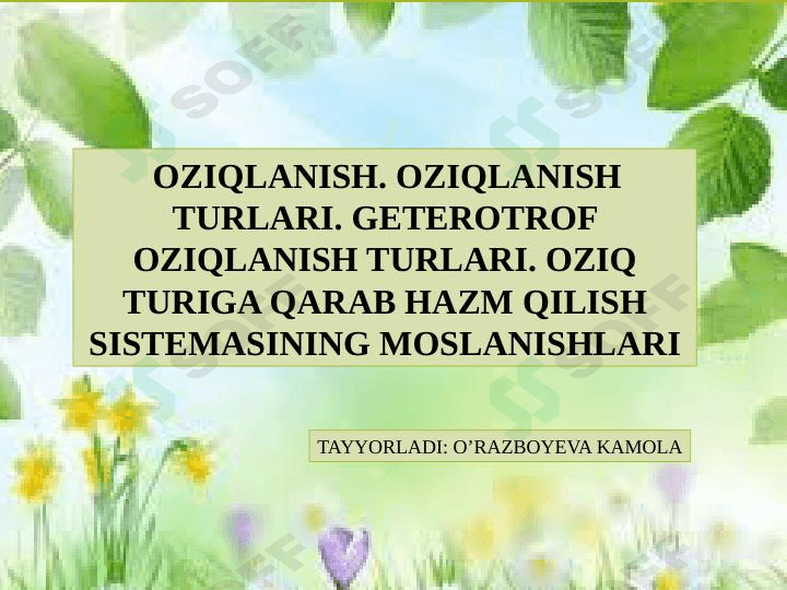 Oziqlanish. Oziqlanish turlari 1