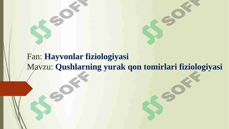 Qushlarning yurak qon tomirlari fiziologiyasi 1