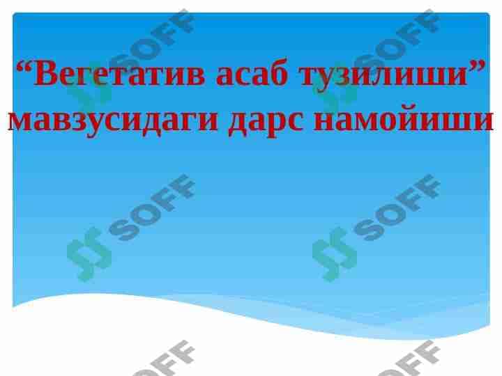 Vegetativ asab tizimining tuzilishi 1