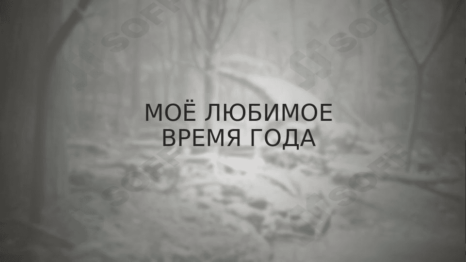 Моё любимое время года 1