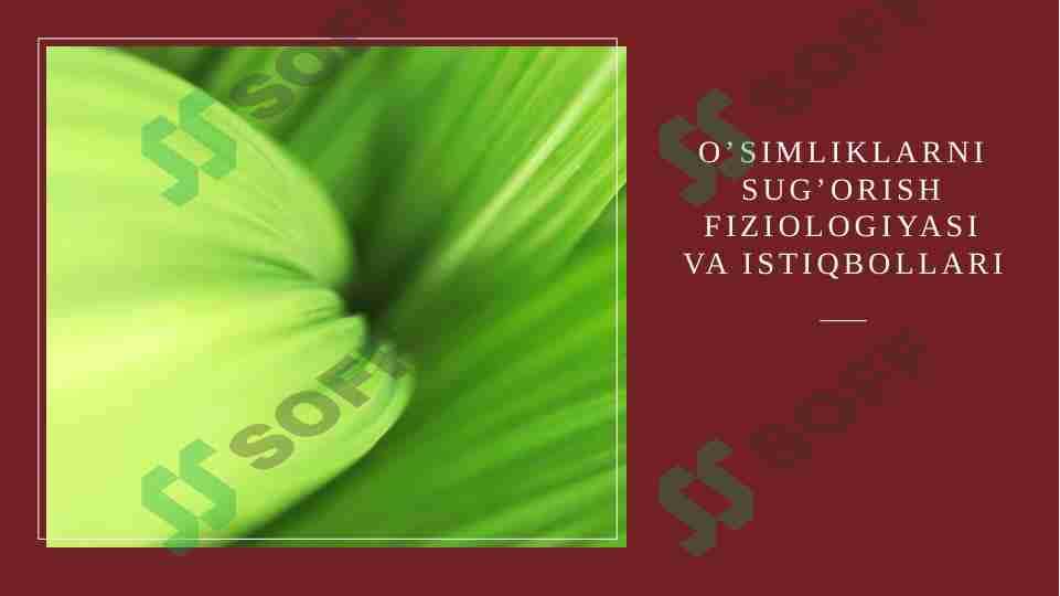 O’simliklarni sug’orish fiziologiyasi va istiqbollari 1