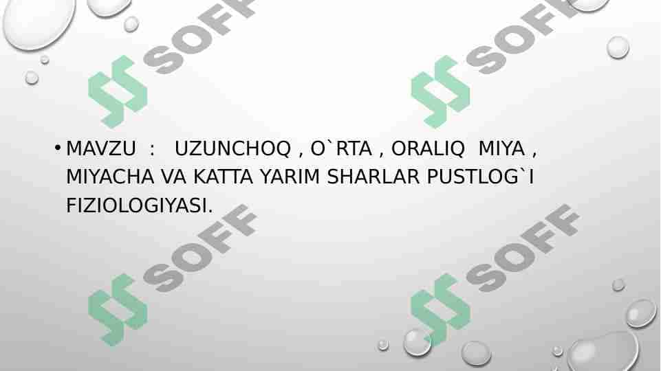 UZUNCHOQ , O`RTA , ORALIQ  MIYA , MIYACHA VA KATTA YARIM SHARLAR PUSTLOG`I FIZIOLOGIYASI 1