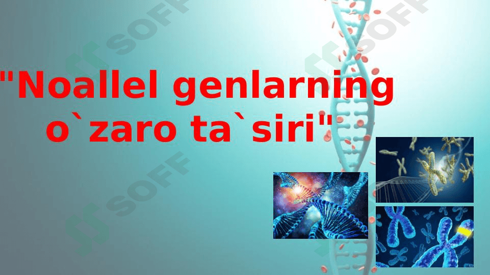 Noallel genlarning o`zaro ta’siri 1