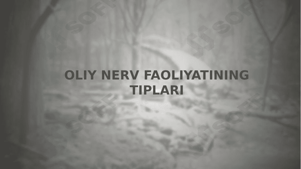 OLIY NERV FAOLIYATINING TIPLARI 1