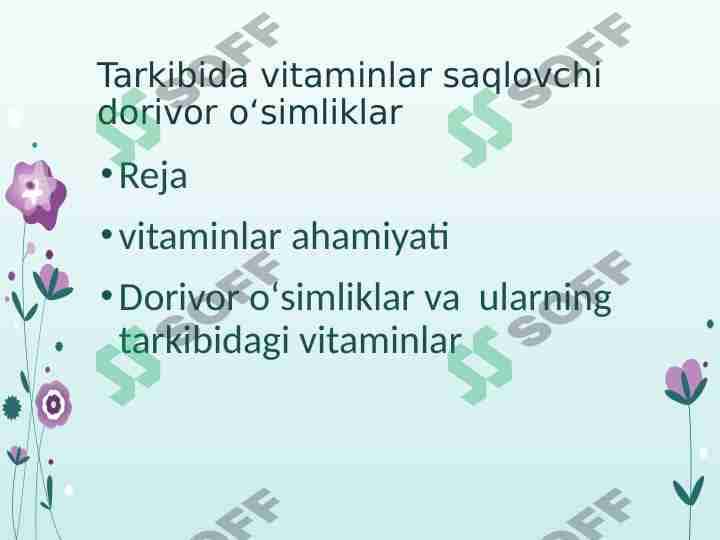 Vitamin saqlovchi dorivor oʻsimliklar 1