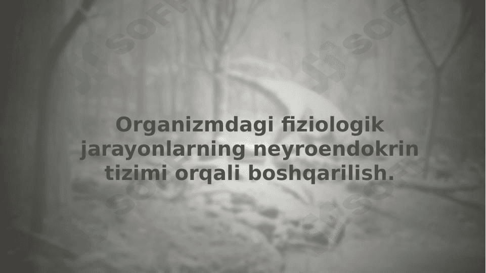 Organizmdagi fiziologik jarayonlarning neyroendokrin tizimi orqali boshqarilish 1