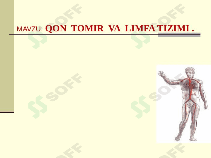 Qon tomir va limfa tizimi 1