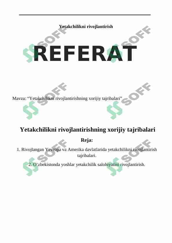 Yetakchilikni rivojlantirishning xorijiy tajribalari 1