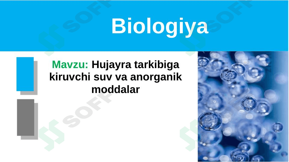 Hujayra tarkibiga kiruvchi suv va anorganik moddalar 1