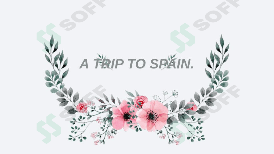 A TRIP TO SPAIN. 1