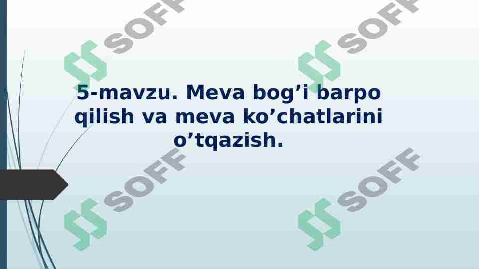 Meva va rezavor meva o’simliklarining kelib chiqishi, botanik tarkibi va biologik xususiyatlari. 1
