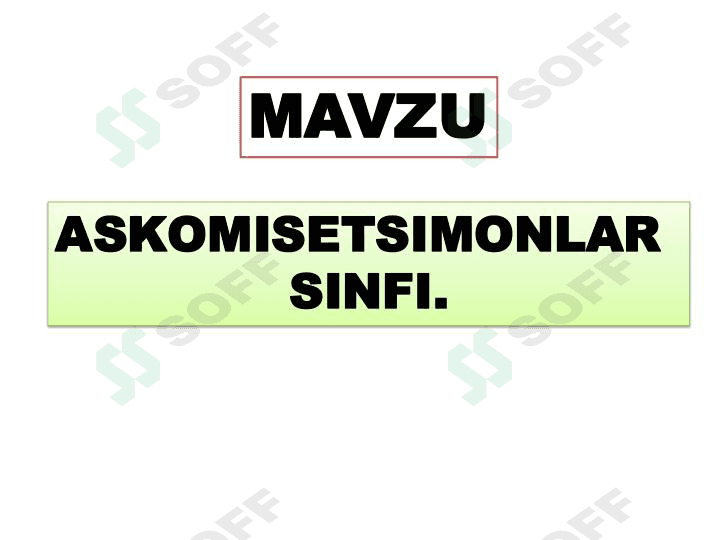 Askomisetsimonlar