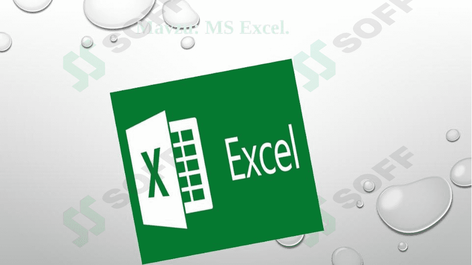 MS Excel 1