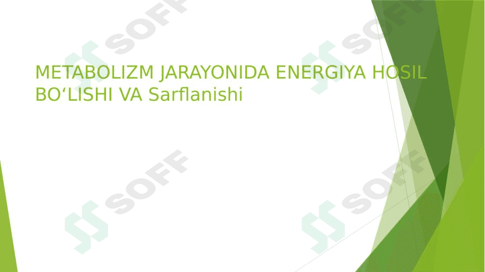 Metabolizm jarayonida energiya hosil boʻlishi va sarflanishi 1