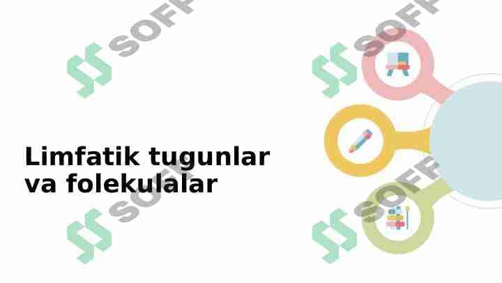 Limfatik tugunlar 1