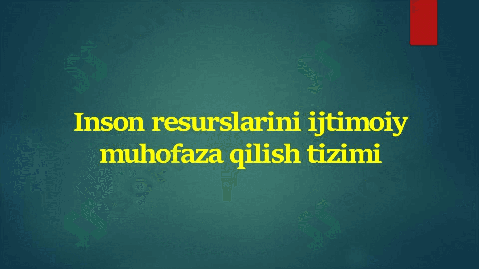 Inson resurslarini ijtimoiy muhofaza qilish tizimi 1