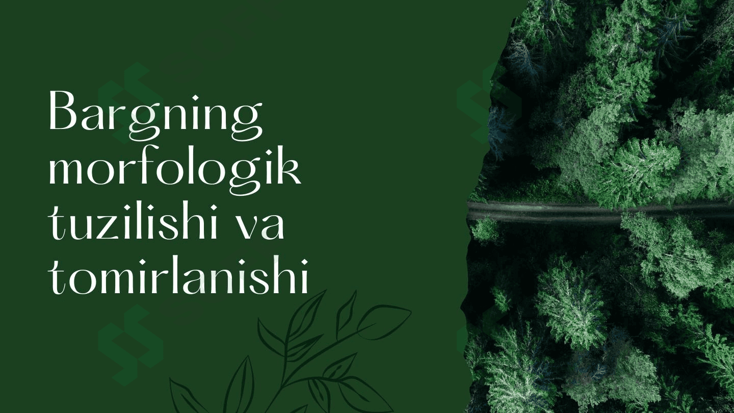 Bargning morfologik tuzilishi va tomirlanishi 1
