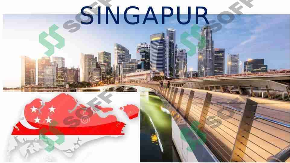 singapur davlatida ijtimoiy ish 1