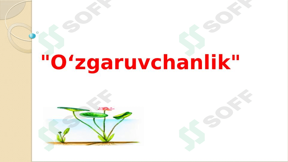 O‘zgaruvchanlik 1