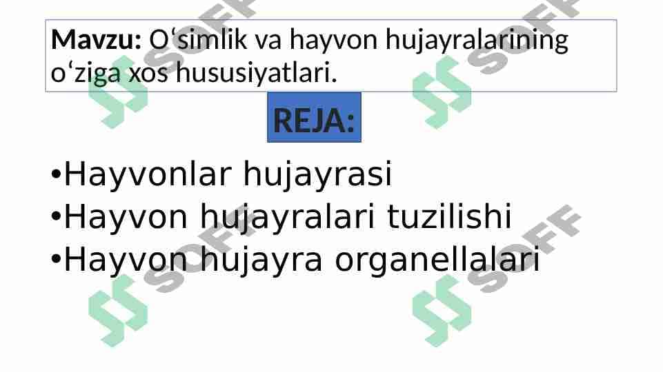2-Oʻsimlik va hayvon hujayralarining oʻziga xos hususiyatlari 1