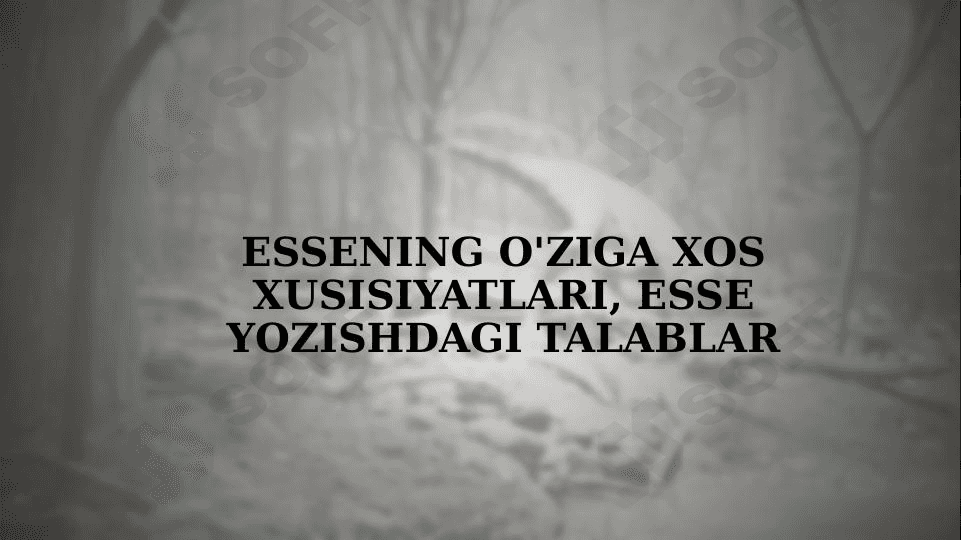 Essening o'ziga xos xusisiyatlari, Esse yozishdagi talablar 1