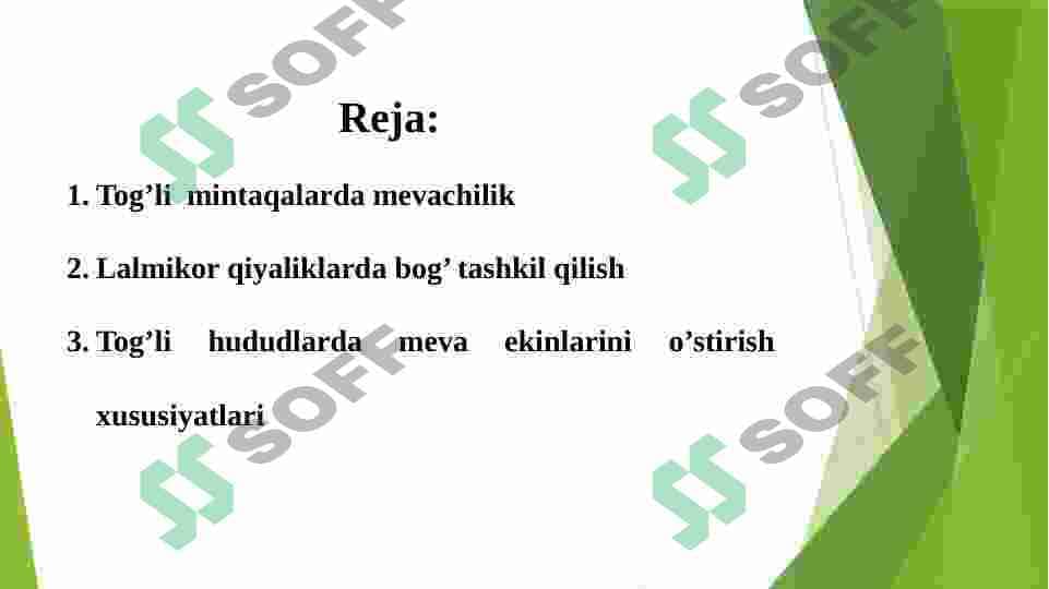 Tog’li yerlarda mevachilik 2