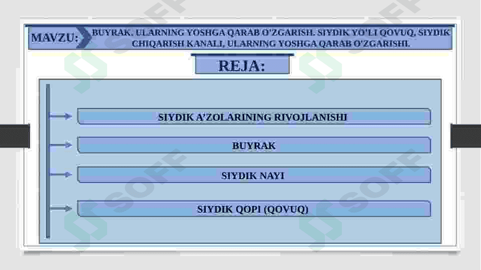 Buyrak. Ularning yoshga qarab o'zgarish. Siydik yo’li qovuq, siydik chiqarish kanali,       ularning yoshga qarab o'zgarishi. 2