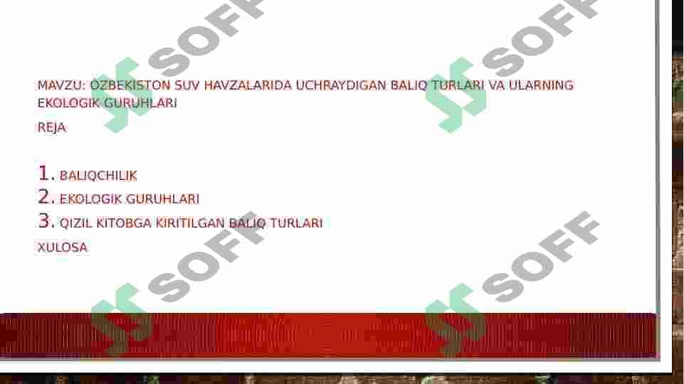 Oʻzbekiston suv havzalarida tarqalgan baliq turlari va ekologik guruhlari 2