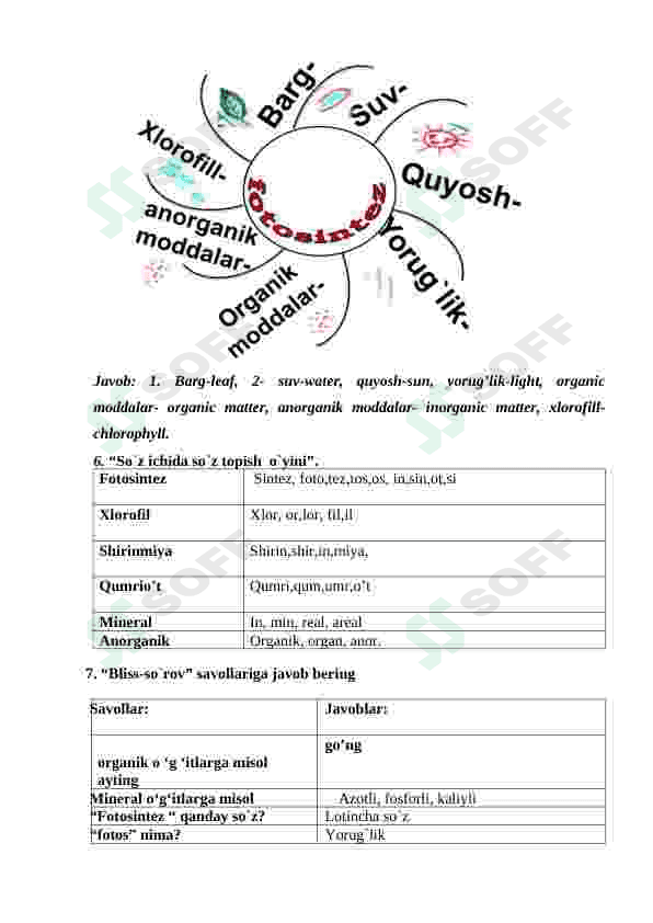 O'simliklardagi fotosintez va mineral oziqlanishni o'rganish 2