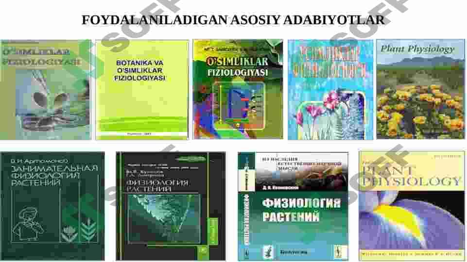 O`zbek olimlarining bugungi kunda O`simliklar fiziologiyasi sohasida oib borayotgan ilmiy tadqiqot ishlari va ularning natijalarini tahlil qilish 2