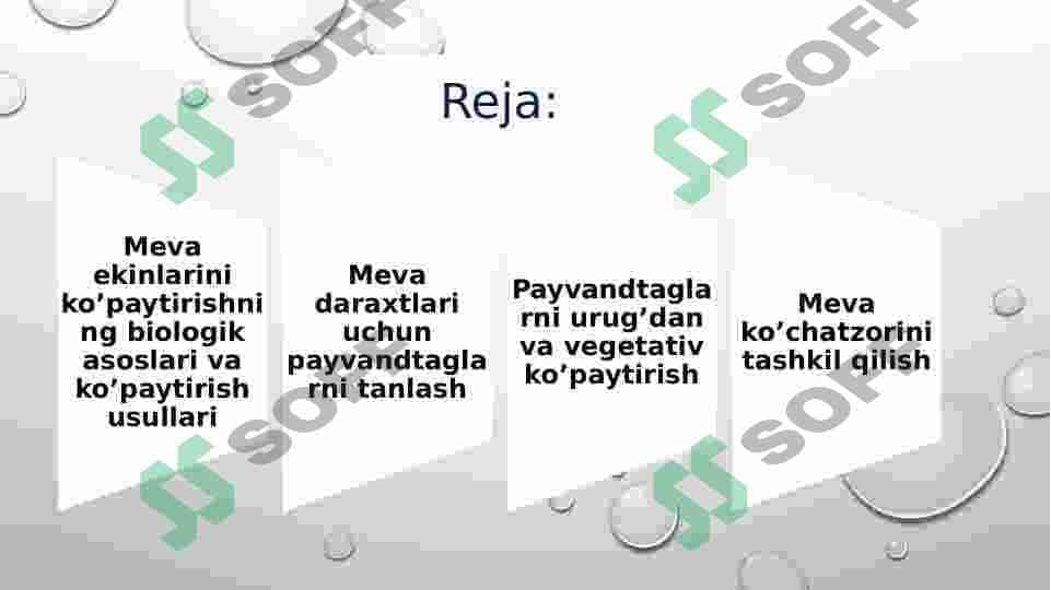 Meva va rezavor meva o’simliklarini ko’paytirishning biologik asoslari va meva ko’chatlarini yetishtirish. 2