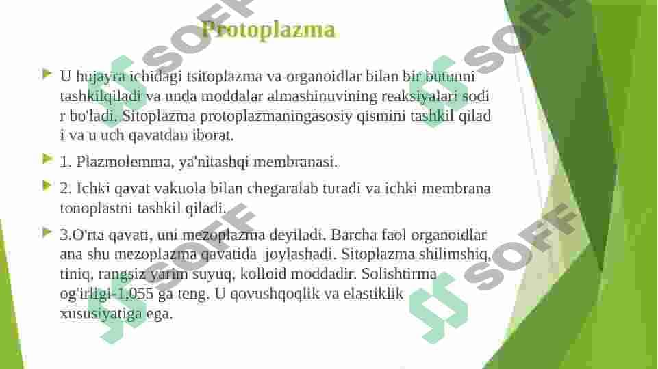 Sitoplazma uning zamonaviy modeli  vakuola,plastida,mitoxondriya,Ribosoma,peroksisoma,Lizosoma,endoplazmatik tor Golji apparati 2